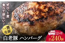 【定期便 12カ月】 北海道産 白老豚 ハンバーグ 120ｇ×20個 セット 冷凍 洋食 おかず