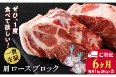 【定期便 6カ月】北海道産 白老豚 肩ロース ブロック 500g×2パック