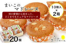 まいこのマドレーヌ　10個入×2箱