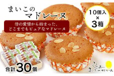 まいこのマドレーヌ　10個入×3箱