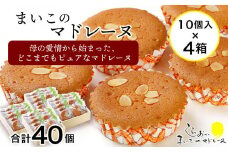 まいこのマドレーヌ　10個入×4箱