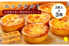 エッグタルト3個入り×3箱セット