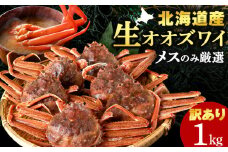 北海道産 生オオズワイガニ メス 1kg （加熱用） ずわいがに 蟹 オオズワイガニ オオズワイ 〈斉藤水産〉