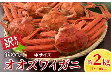 訳あり オオズワイガニオス 中サイズ (約200-350g) 浜ゆで 2kg (6～10尾入) ボイル 北海道