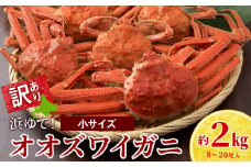 訳あり オオズワイガニオス 小サイズ (約100-250ｇ) 浜ゆで 2kg (8～20尾入) ボイル 北海道