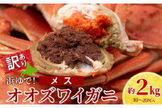 訳あり オオズワイガニメス (約100-200g前後)  浜ゆで 2kg (10～20尾入)   ボイル 北海道
