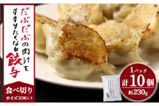 だぶだぶの肉汁をすすりたくなる餃子 10個（10個入×1パック） ぎょうざ 冷凍 ギョウザ おつまみ おかず 中華 惣菜