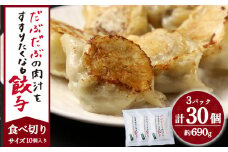 だぶだぶの肉汁をすすりたくなる餃子 30個（10個入×3パック） ぎょうざ 冷凍 ギョウザ おつまみ おかず 中華 惣菜