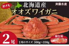 北海道産 オオズワイ 300g～350g ×2尾 ＜斉藤水産＞ オオズワイ 蟹 かに カニ ボイル