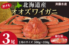 北海道産 オオズワイ 300g～350g ×3尾 ＜斉藤水産＞ オオズワイ 蟹 かに カニ ボイル