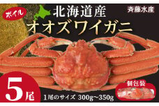 北海道産 オオズワイ 300g～350g ×5尾 ＜斉藤水産＞ オオズワイ 蟹 かに カニ ボイル