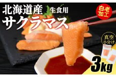 北海道産 サクラマス ロイン 3kg 生食可〈小田切水産〉 桜鱒 さくらます 北海道