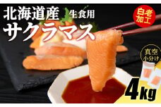 北海道産 サクラマス ロイン 4kg 生食可〈小田切水産〉 桜鱒 さくらます 北海道