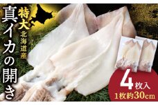 北海道産 真イカ開き(加熱用) 2枚入り×2パック 〈斉藤水産〉