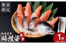 北海道産 時鮭 姿切身 半身 鮭 さけ サケ おかず 焼き魚