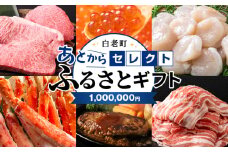 あとからセレクト 【ふるさとギフト】《1,000,000円分》