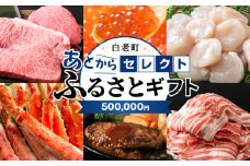 あとからセレクト 【ふるさとギフト】《500,000円分》