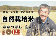 【全12回定期便】【令和6年産】【玄米】 自然栽培米「角田玄米」5kg《厚真町》【カクタファーム】 米 お米 玄米 ご飯 北海道 定期便 [AXAR003]