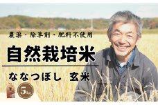 【令和6年産】【玄米】自然栽培米「角田玄米」5kg《厚真町》【カクタファーム】 米 お米 玄米 ななつぼし ご飯 北海道[AXAR001]
