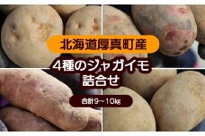 【令和6年】《数量限定》北海道厚真産・魅惑の4種類じゃがいも食べ比べセット（キタアカリ・デストロイヤー・ノーザンルビー・こがね丸）《厚真町》【山崎農園】 [AXAM001]