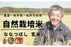 【全6回定期便】【令和6年産】【玄米】 自然栽培米「角田玄米」5kg《厚真町》【カクタファーム】 米 お米 玄米 ご飯 北海道 定期便 [AXAR002]