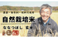 米 お米 玄米 ご飯 北海道 定期便