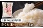 米 お米 白米 ななつぼし ブランド米 特A ご飯 5kg 北海道  定期便