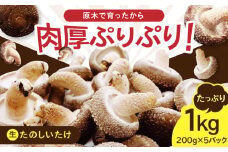 原木 生しいたけ 1kg（200g×5パック）《厚真町》【株式会社きたい】 生 しいたけ 椎茸 きのこ キノコ 小分け 北海道 13000 13000円 [AXAI001]