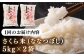 米 お米 白米 ななつぼし ブランド米 特A ご飯 10kg 北海道 定期便