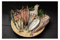 【北海道】あつまの干物バラエティセット 5点《厚真町》【有限会社カネサ斉藤水産】 にしん ほっけ ホッケ カレイ さば サバ 鯖 こまい 海鮮 干物 セット 冷凍配送 北海道 [AXAK006]