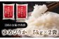 米 お米 白米 ゆめぴりか ブランド米 特A ご飯 10kg 北海道 定期便