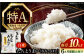 米 お米 白米 ななつぼし ブランド米 特A ご飯 10kg 北海道 定期便