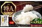 米 お米 白米 ななつぼし ブランド米 特A ご飯 5kg 北海道 定期便