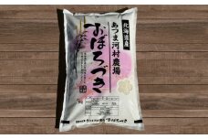 【全3回定期便】北海道ブランド米 おぼろづき 10kg（5kg×2）《厚真町》【あつま河村農場】 米 お米 白米 ご飯 おぼろづき 10kg 北海道 [AXAJ003] 60000 60000円