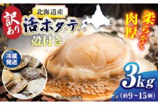 ＜期間限定受付＞【訳あり！】漁港直送！天然貝殻付き活ホタテ3kg《厚真町》　【鵡川漁業協同組合】　ホタテ 活ホタテ 帆立 海鮮 冷蔵配送 北海道 [AXAL004]