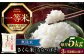 無洗米 お米 白米 ななつぼし ブランド米 特A ご飯 5kg 北海道  定期便