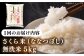 無洗米 お米 白米 ななつぼし ブランド米 特A ご飯 5kg 北海道  定期便