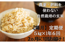 【隔月・全6回定期便】【令和6年産】【玄米】 自然栽培米「角田玄米」5kg《厚真町》【カクタファーム】 米 お米 玄米 ご飯 北海道 定期便 [AXAR005]