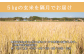 米 お米 玄米 ご飯 北海道 定期便