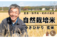【玄米】自然栽培米 角田玄米 ゆきひかり 5kg 《厚真町》 【カクタファーム】 米 お米 玄米 ゆきひかり ご飯 北海道 [AXAR006] 