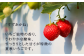 北海道からお届け！