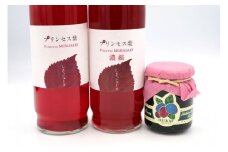 厚真のお母さん手づくりジュース（紫蘇ストレート・紫蘇濃縮 500ml×各1本）&土居農園ハスカップジャムセット《厚真町》【手づくりグループあすなろ】 しそ 紫蘇 ジュース 手づくり ハスカップ ジャム セット 北海道 [AXAQ001]