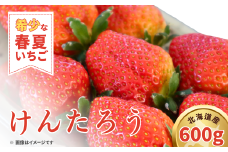 【2025年5月以降順次発送】春夏イチゴ「けんたろう」計600g《厚真町》【こばやしいちご農園】 [AXBT001]