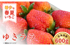 【2025年5月以降順次発送】春夏イチゴ「ゆきララ」計600g《厚真町》　【こばやしいちご農園】 [AXBT002]