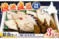 【北海道】漁港直送！季節のおまかせ鮮魚 3kgセット《厚真町》【鵡川漁業協同組合】海鮮 朝獲れ 産地直送 おさかな セット 魚 詰め合わせ 冷蔵配送 北海道 13000 13000円 [AXAL002]