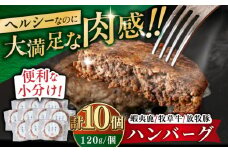 【蝦夷鹿×牧草牛×放牧豚】ハンバーグ 10個《厚真町》【GOODGOOD株式会社】 ハンバーグ 鹿肉 牛肉 豚肉 ジビエ 小分け 冷凍配送 北海道 [AXBP004]