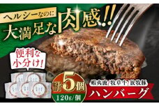 【蝦夷鹿×牧草牛×放牧豚】ハンバーグ 5個 《厚真町》【GOODGOOD株式会社】 ハンバーグ 鹿肉 牛肉 豚肉 ジビエ 小分け 冷凍配送 北海道 [AXBP003]