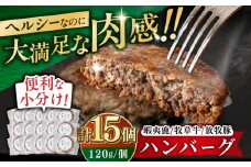 【蝦夷鹿×牧草牛×放牧豚】ハンバーグ 15個《厚真町》【GOODGOOD株式会社】 ハンバーグ 鹿肉 牛肉 豚肉 ジビエ 小分け 冷凍配送 北海道 [AXBP005]