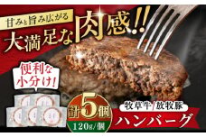 【牧草牛×放牧豚】ハンバーグ 5個 《厚真町》【GOODGOOD株式会社】 ハンバーグ 牛肉 豚肉 ジビエ 小分け 冷凍配送 北海道 [AXBP006]