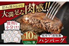 【牧草牛×放牧豚】ハンバーグ 10個《厚真町》【GOODGOOD株式会社】 ハンバーグ 牛肉 豚肉 ジビエ 小分け 冷凍配送 北海道 [AXBP007]